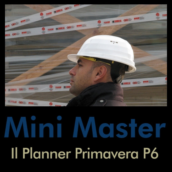 Mini Master Planning Primavera P6